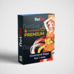 Crunchyroll Mega Fan 12 mois