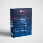 Abonnement Disney Plus